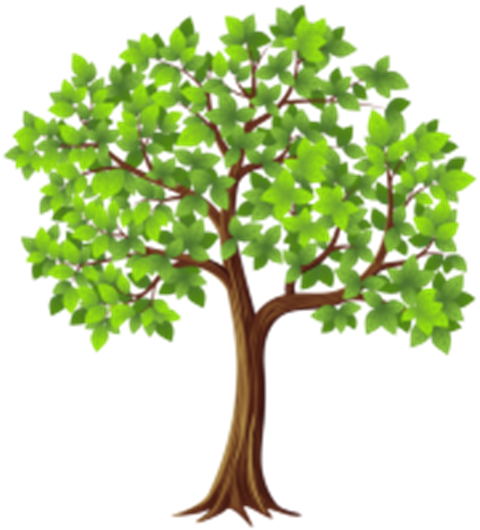 tree_PNG92766.png