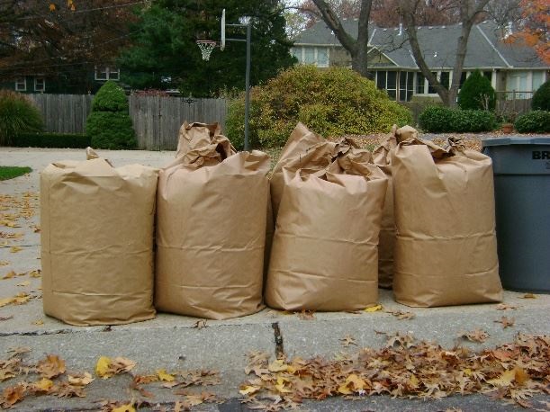 brown compostable bags picture